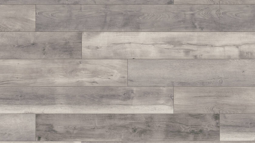 Blackwater Oak K413